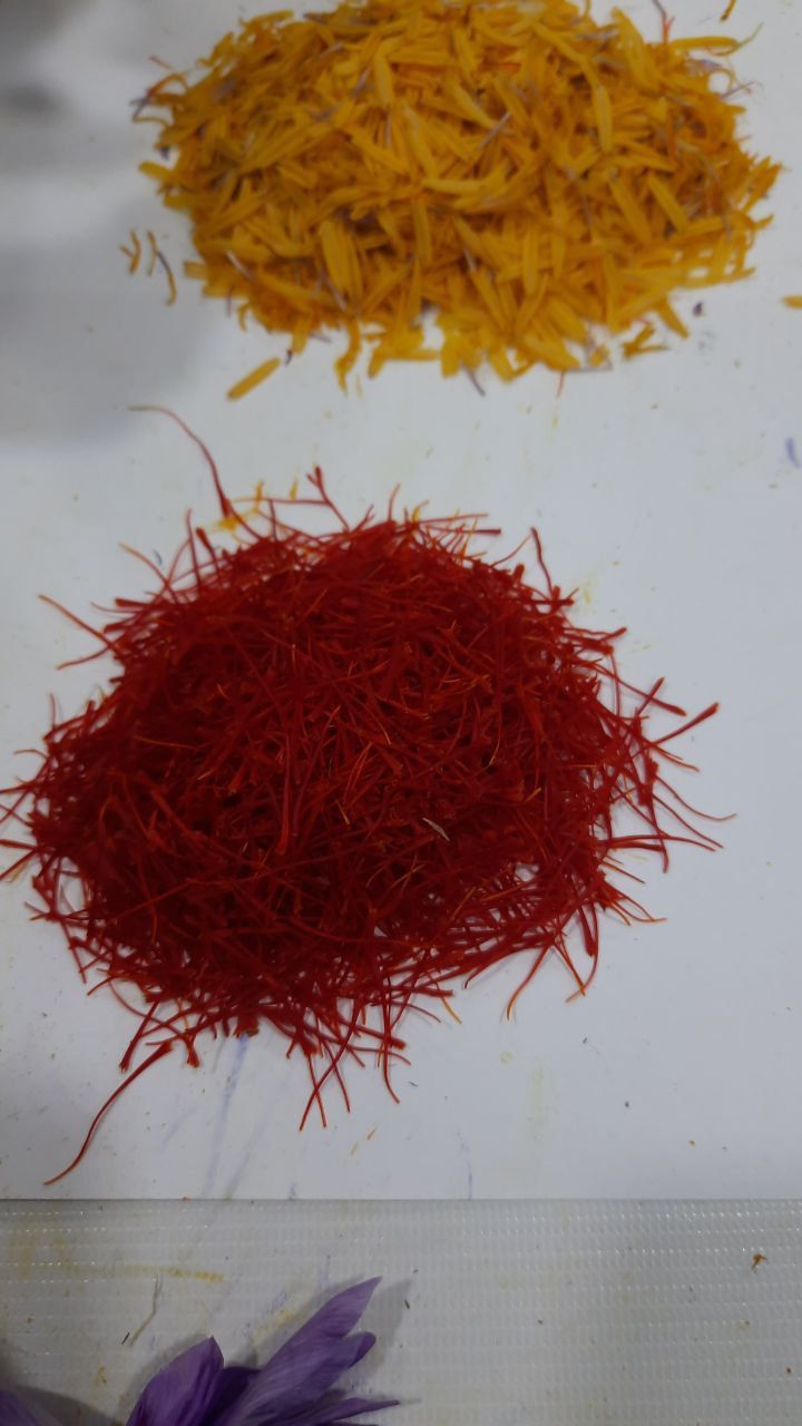 Zafferano suddiviso dal fiore